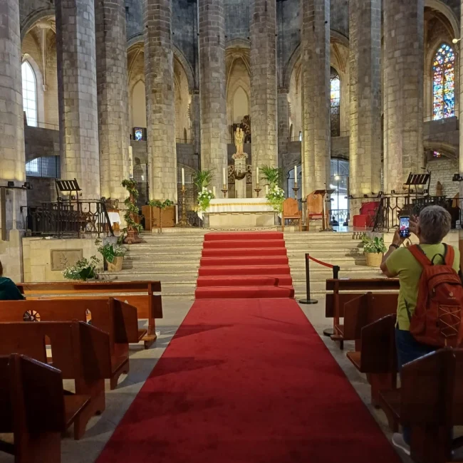 Alfombras y parquets refinados